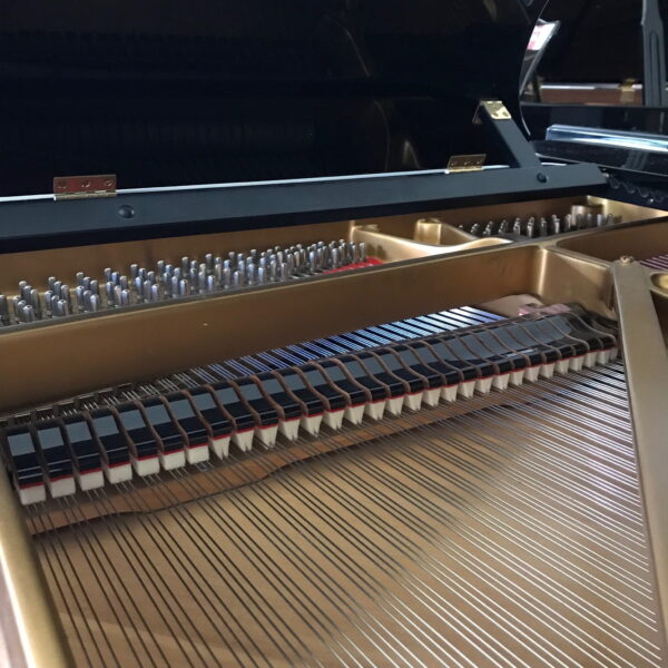 STEINWAY & SONS B 211 2